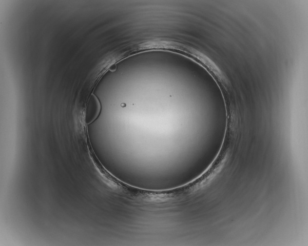 X0000116650849200912141254