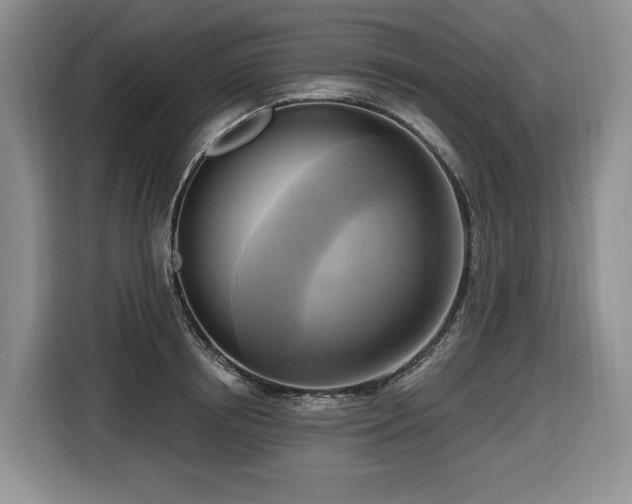 X0000116650850200912141254