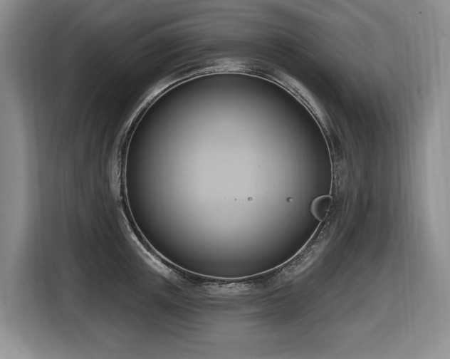 X0000116650851200912141254