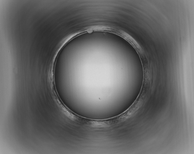 X0000116650852200912141254