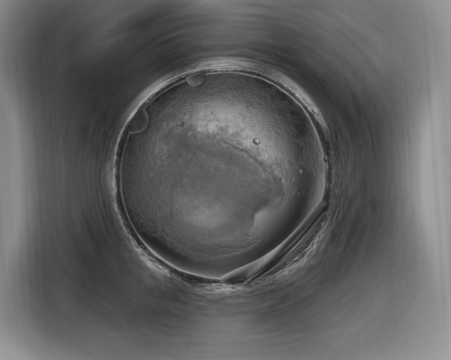 X0000116650853200912141254
