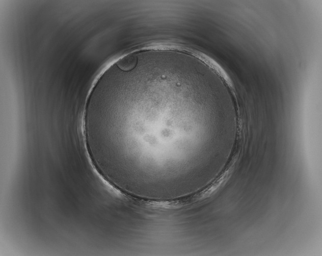 X0000116650855200912141254