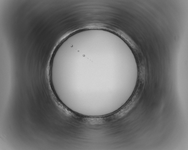 X0000116650856200912141254