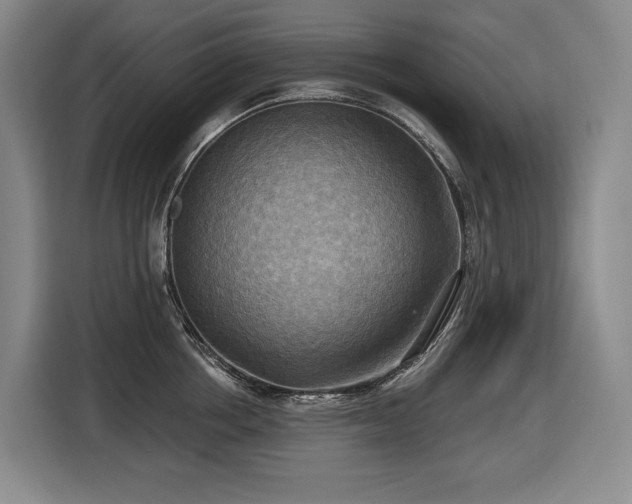X0000116650858200912141254