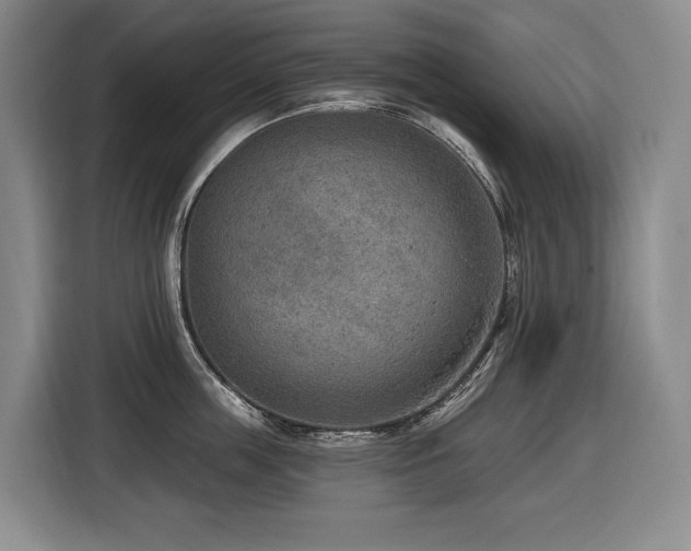 X0000116650859200912141254