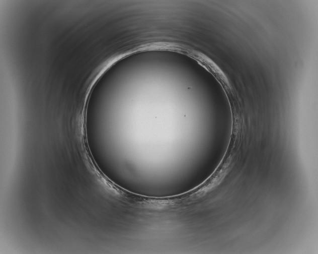 X0000116650860200912141254