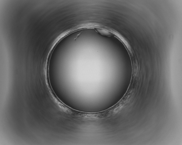 X0000116650861200912141254