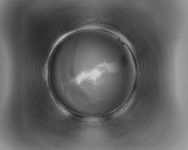 X0000116650862200912141254