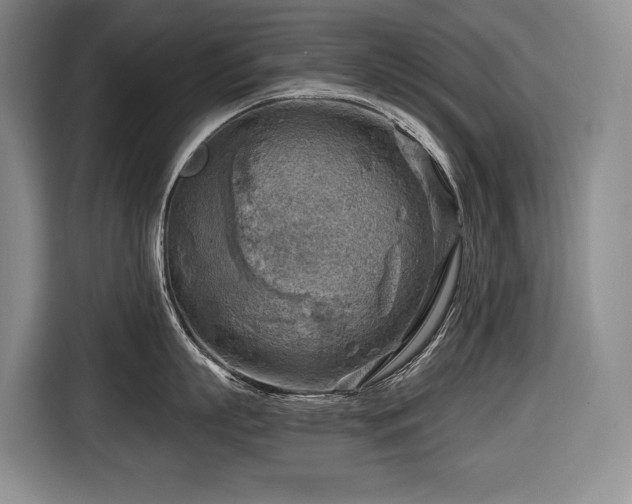 X0000116650863200912141254
