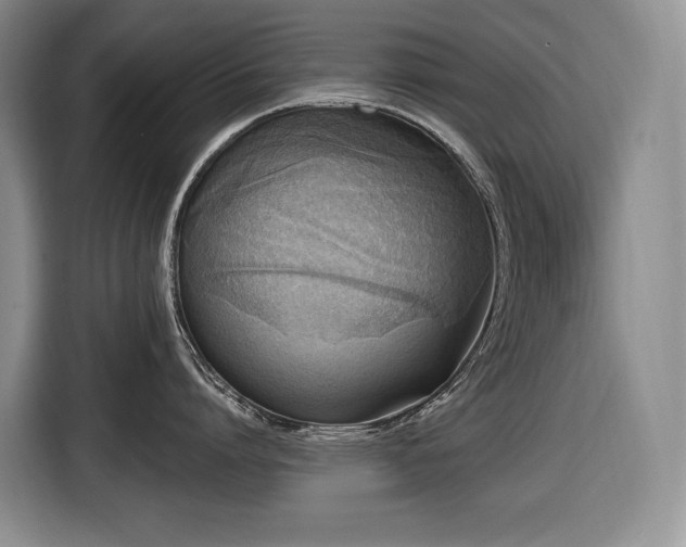X0000116650864200912141254