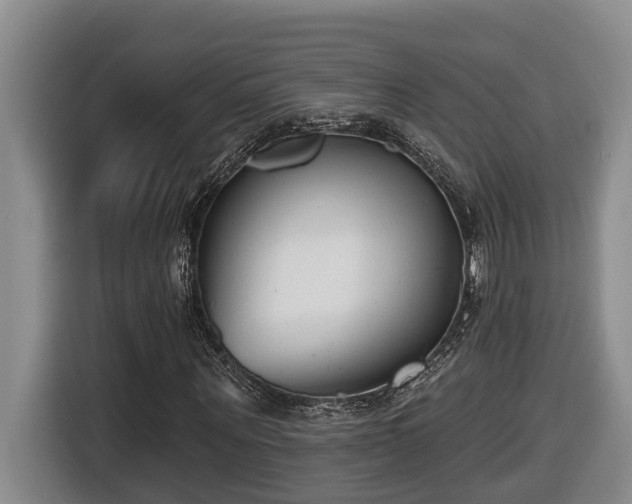 X0000116650867200912141253