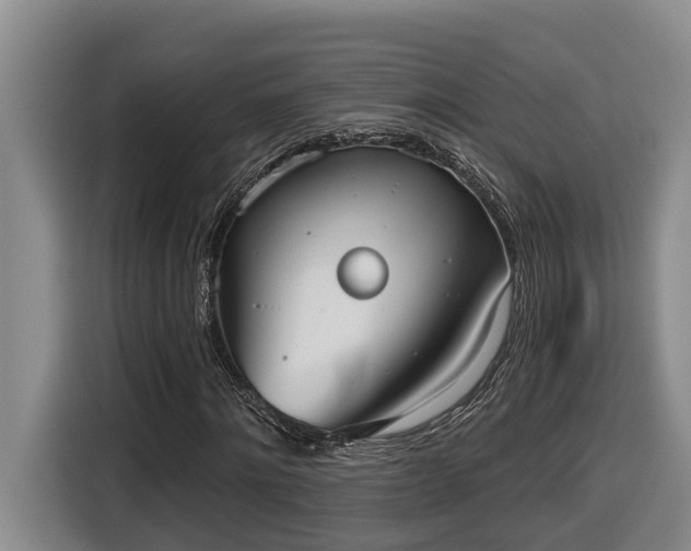 X0000116650868200912141253