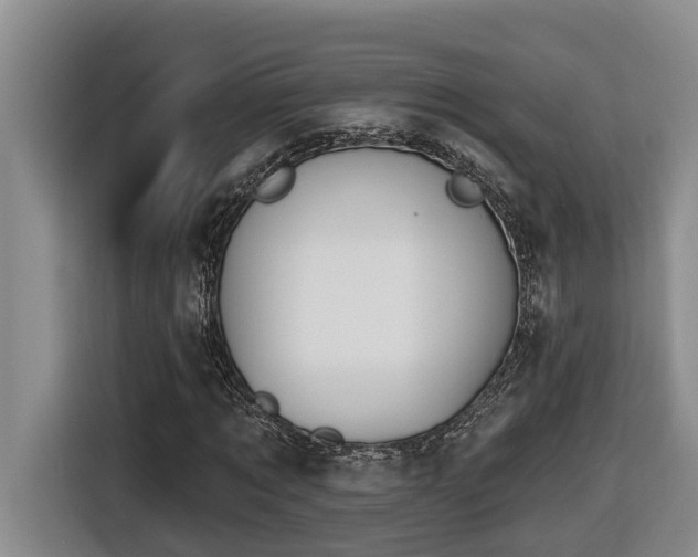 X0000116650869200912141253