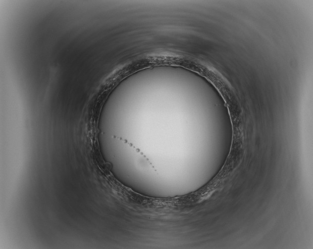 X0000116650870200912141253