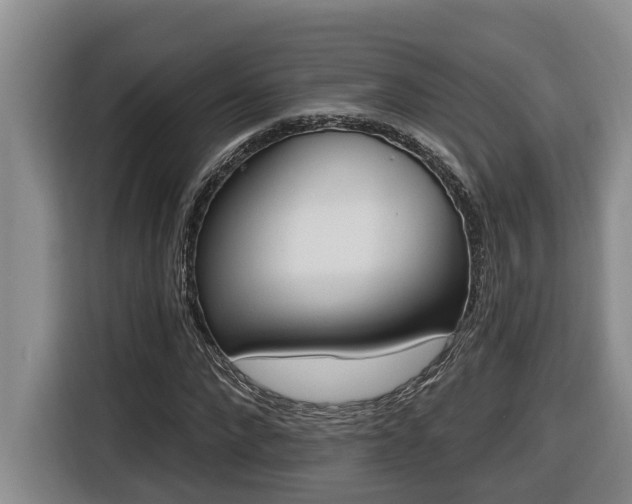 X0000116650872200912141253