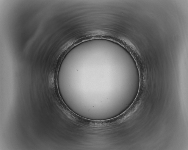 X0000116650873200912141253
