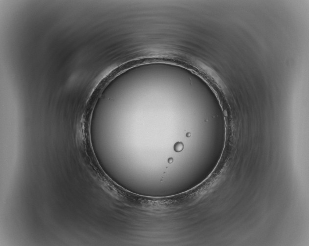 X0000116650875200912141253