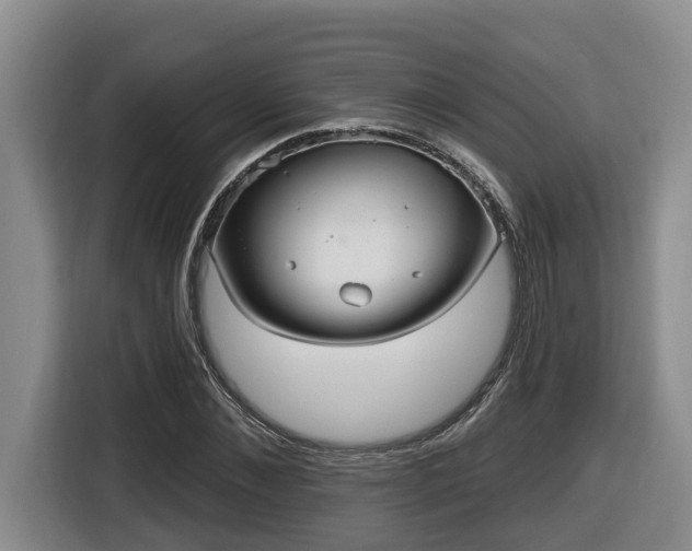 X0000116650876200912141253