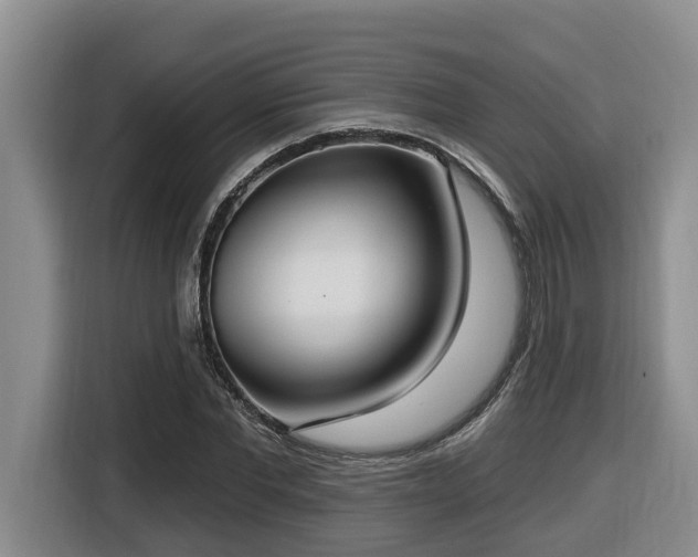 X0000116650877200912141253