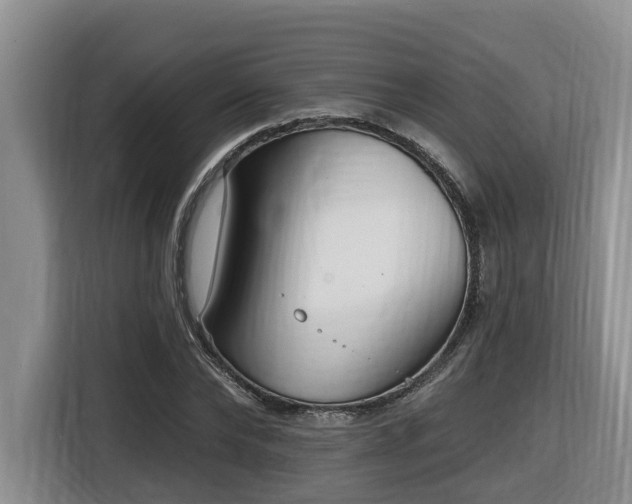 X0000116650878200912141253