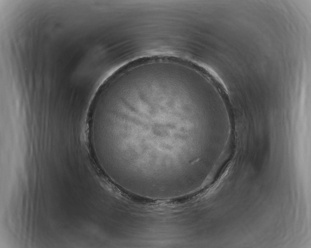 X0000116650879200912141253