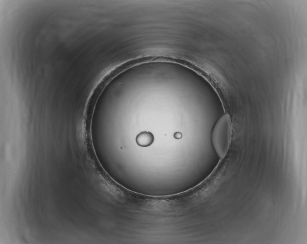 X0000116650880200912141253