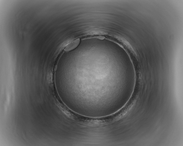 X0000116650881200912141253
