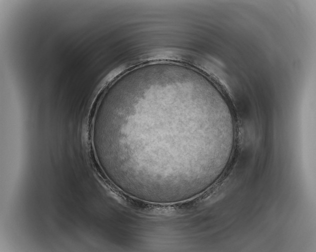 X0000116650882200912141253