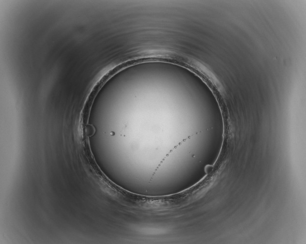 X0000116650883200912141253