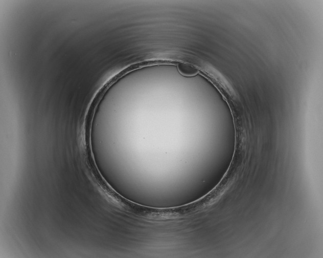 X0000116650884200912141253