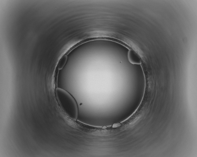 X0000116650885200912141253