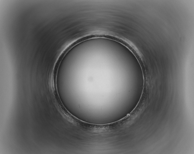 X0000116650887200912141253