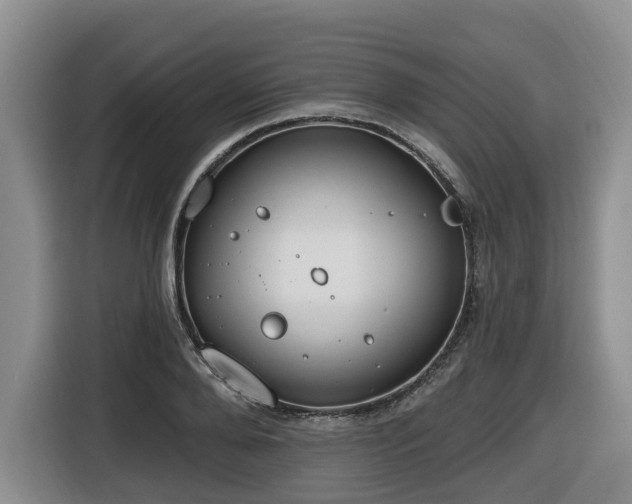 X0000116650888200912141253