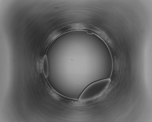 X0000116650889200912141253