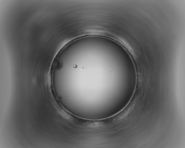 X0000116650891200912141253