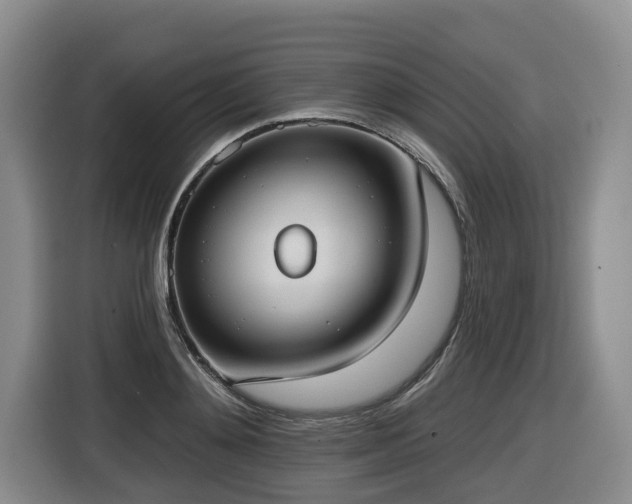X0000116650892200912141253