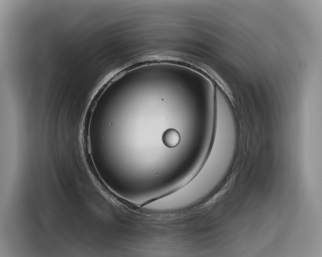 X0000116650893200912141253