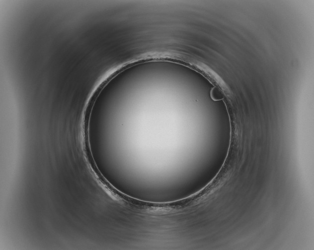 X0000116650894200912141253