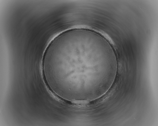 X0000116650895200912141253