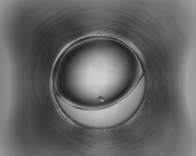 X0000116650896200912141253