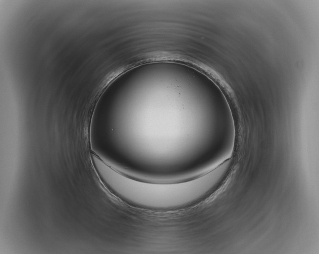 X0000116650897200912141253