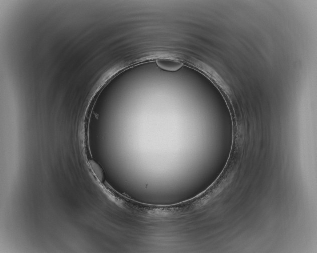 X0000116650898200912141253