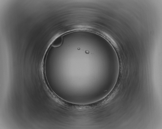 X0000116650899200912141253