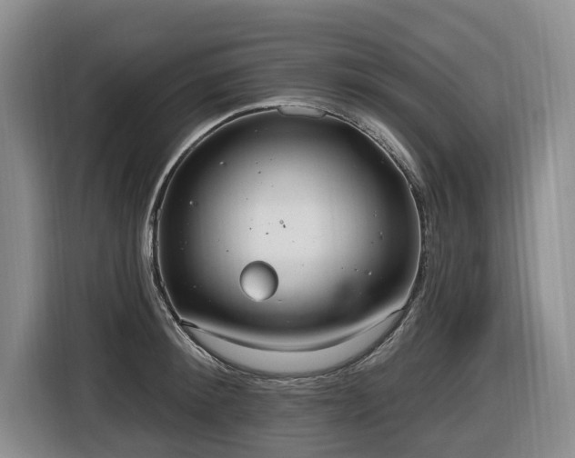 X0000116650900200912141253