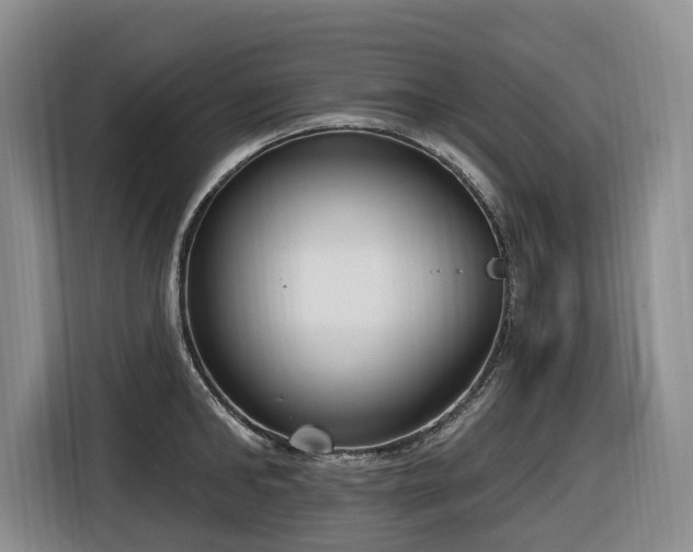 X0000116650902200912141253