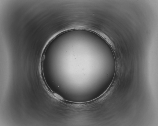 X0000116650904200912141253