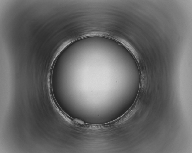 X0000116650906200912141253