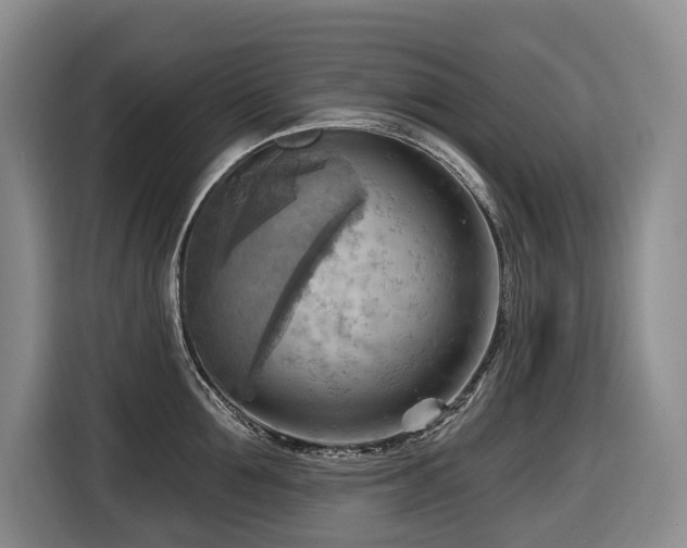 X0000116650907200912141253