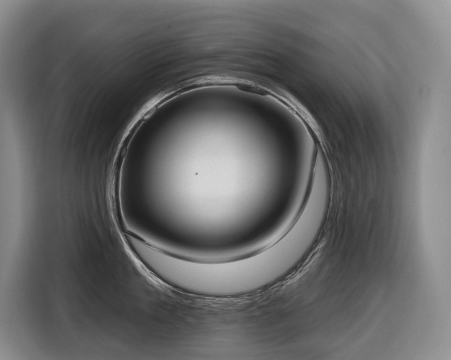 X0000116650909200912141253