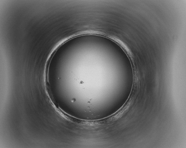 X0000116650910200912141253